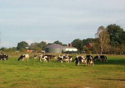 Biogasanlage Meetschow